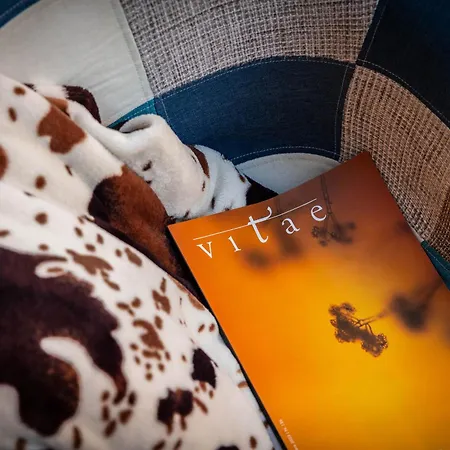 Casa Dei Visionari - Mare Bari