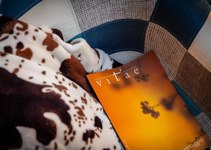 Casa Dei Visionari - Mare Bari